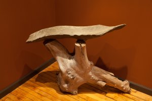 Driftwood table